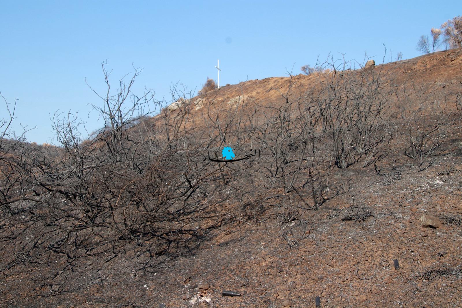 بالصور- إسرائيل تتبع سياسة الأرض المحروقة جنوبا... تضرر 1700 هكتار من الأراضي بالفوسفور